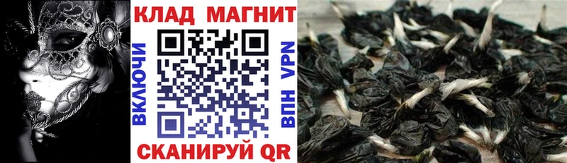 Купить Галлюциногенные грибы Амфетамин ЭКСТАЗИ Конопля ГАШИШ Меф мяу мяу Пикалёво