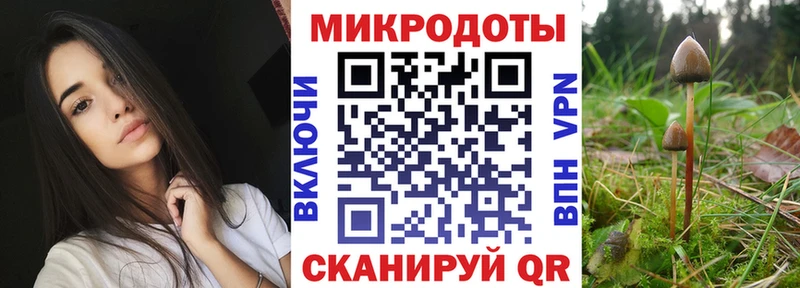 Купить где  Пикалёво  Галлюциногенные грибы мицелий 